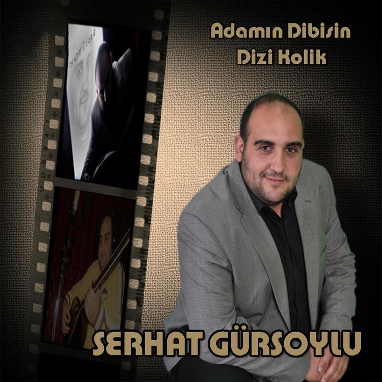 Serhat Gürsoylu's avatar image