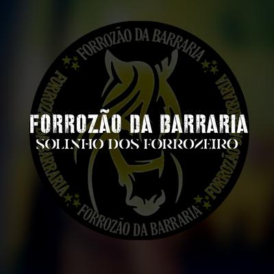 Forrozão da Barraria - Solinho dos Forrozeiro By Bismark Project's cover