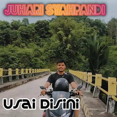 Jangan Hiraukan's cover