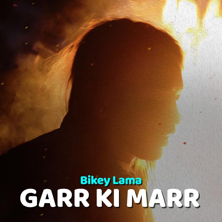 Bikey Lama's avatar image