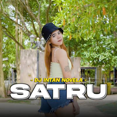 Satru (Remix)'s cover