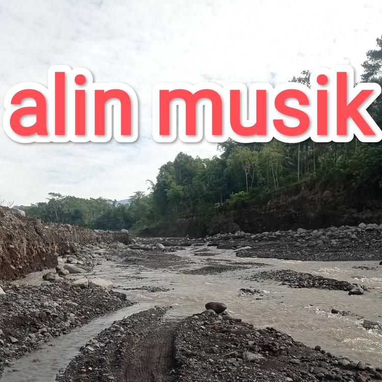 Alin musik's avatar image