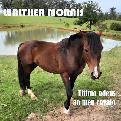 Último Adeus ao Meu Cavalo By Walther Morais's cover