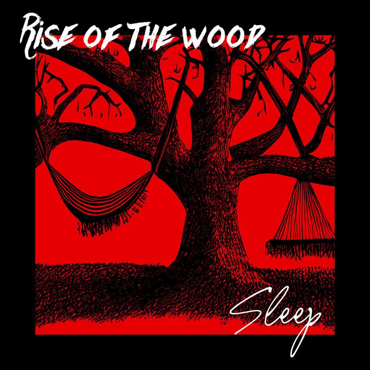 Rise Of The Wood's avatar image