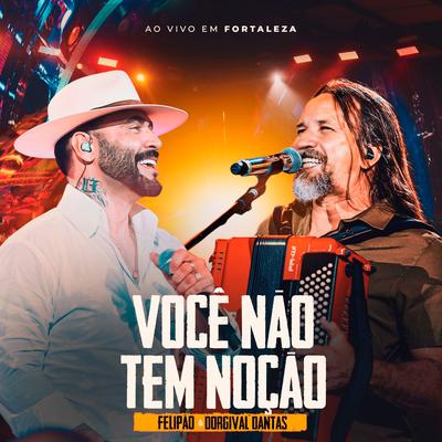 Você Não Tem Noção (Ao Vivo em Fortaleza)'s cover