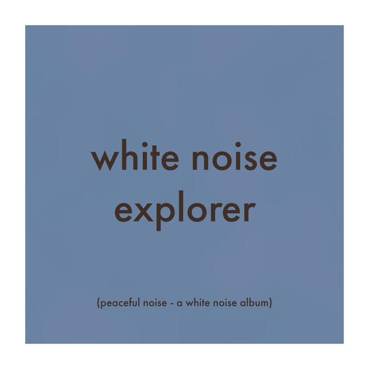 White Noise Explorer's avatar image