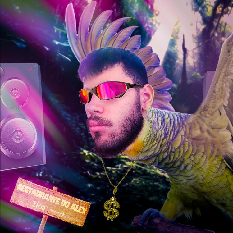 DJ Papagaio's avatar image