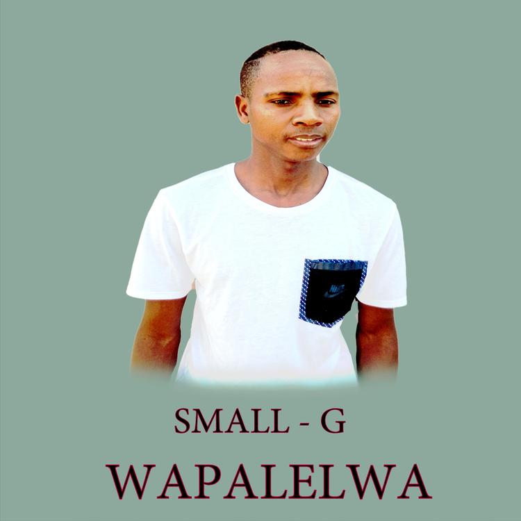 Small G's avatar image