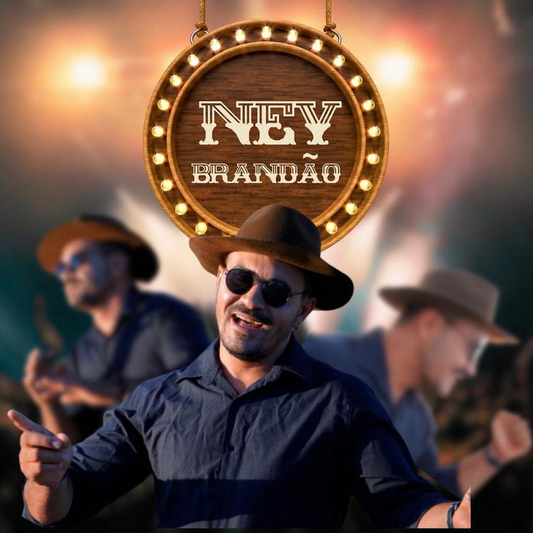 Ney Brandão's avatar image