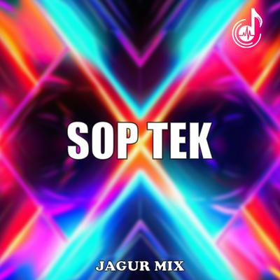 Jagur Mix's cover
