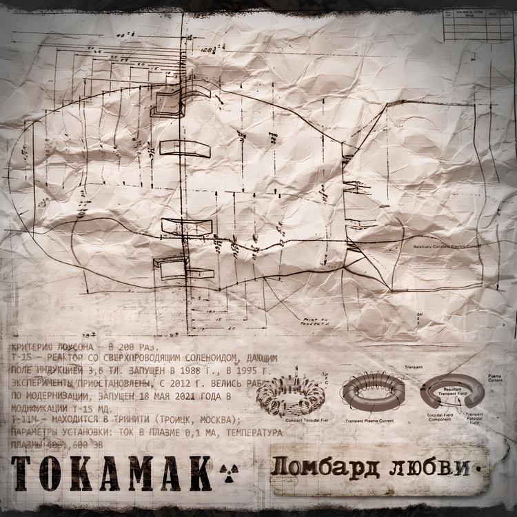 Tokamak's avatar image