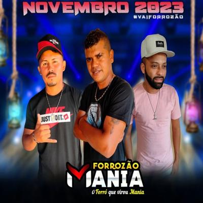 Forrozão Mania - Novembro 2023 #Vaiforrozão's cover