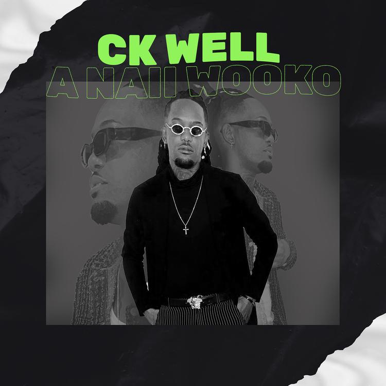 CK WELL's avatar image