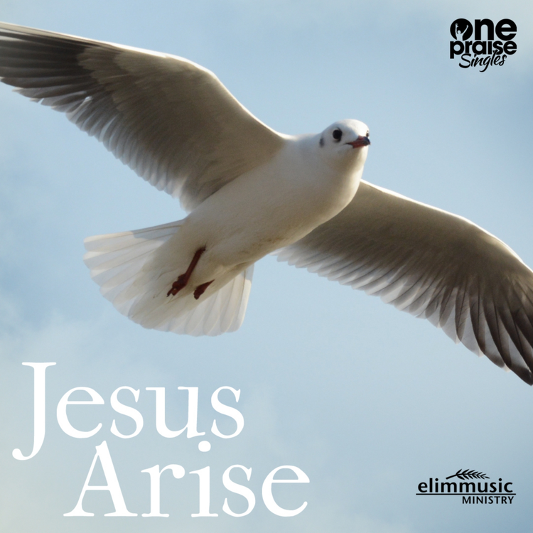 Elim Music Ministry's avatar image