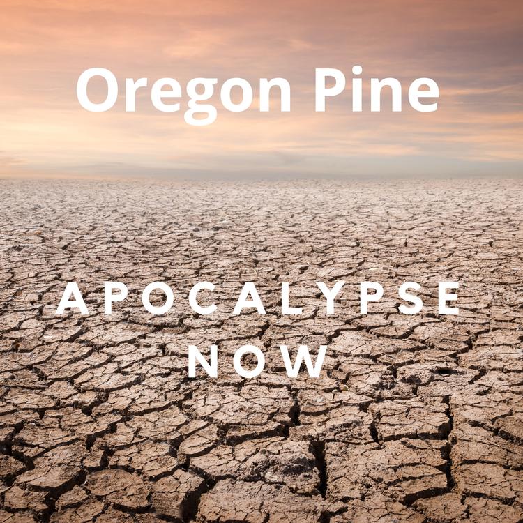 Oregon Pine's avatar image