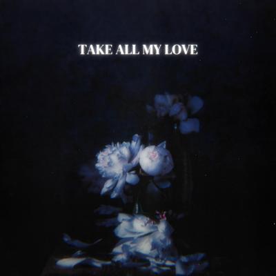 Take All My Love (Slowed)'s cover