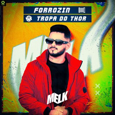Forrózin Tropa do Thor By djmelk, Alysson CDs Oficial, Rave Produtora's cover