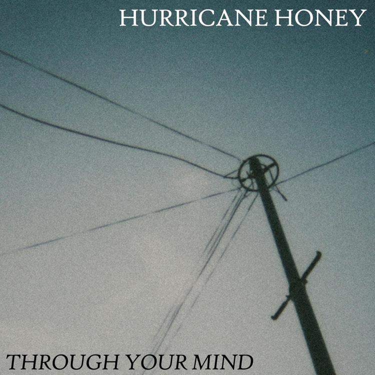 Hurricane Honey's avatar image