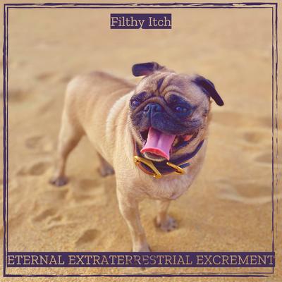 Eternal Extraterrestrial Excrement's cover