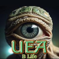 B Life's avatar cover