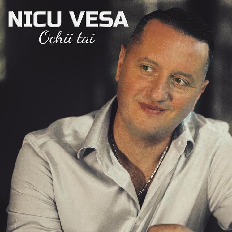 Nicu Vesa's avatar image