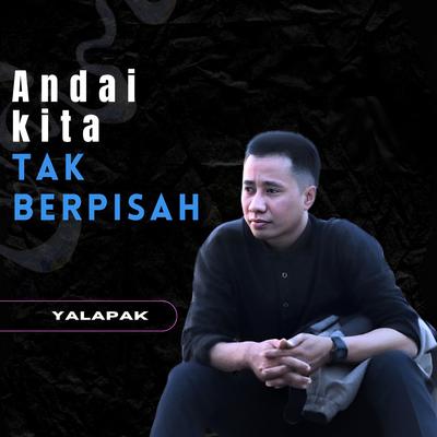 Andai Kita Tak Berpisah (Pop)'s cover