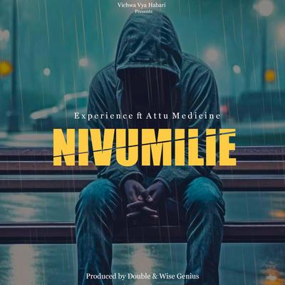 Nivumilie's cover