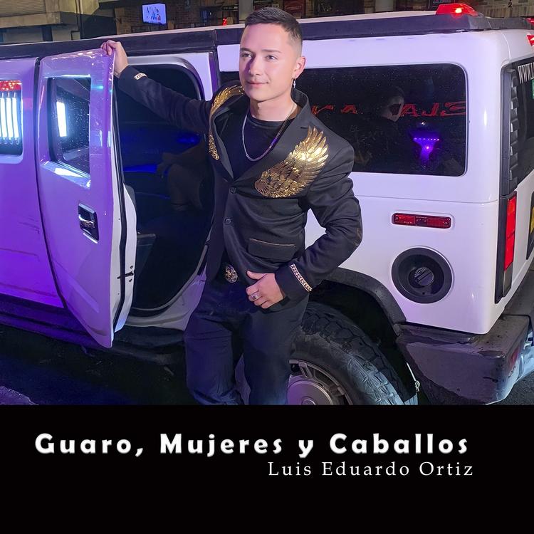 Luis Eduardo Ortiz's avatar image