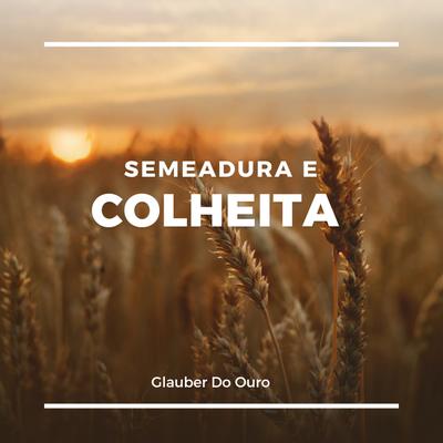 Semeadura e Colheita's cover