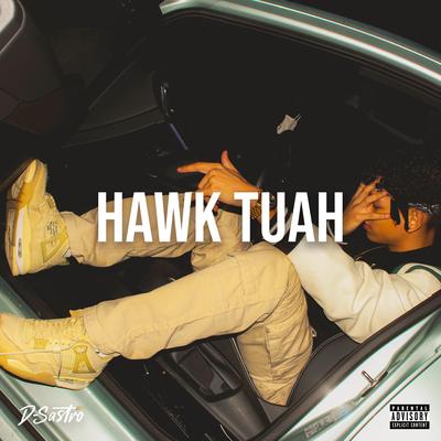 Hawk Tuah's cover