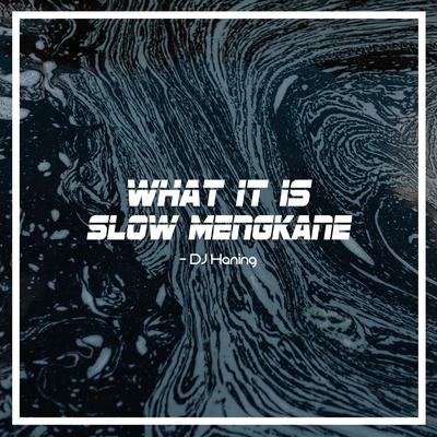 What It Is Slow Mengkane's cover