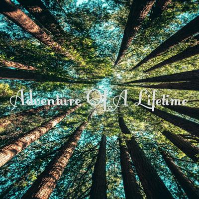 Adventure Of A Lifetime (Deluxe Edition)'s cover