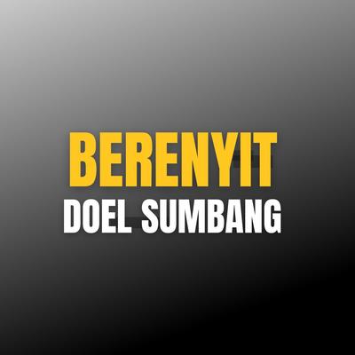 Berenyit's cover