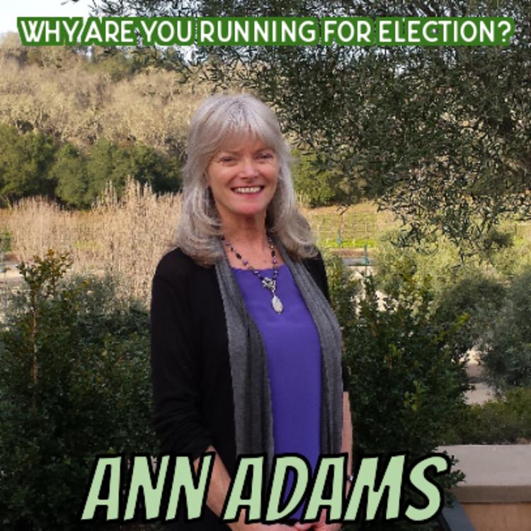 Ann Adams's avatar image