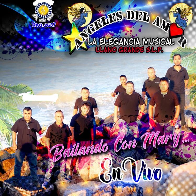 Angeles del Amor's avatar image