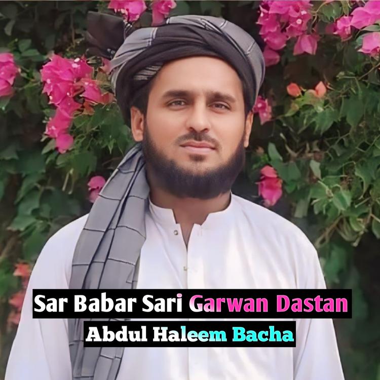 Abdul Haleem Bacha's avatar image