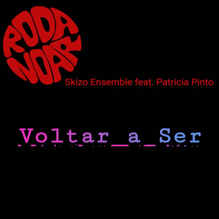 d'Roda no Ar - Skizo Ensemble's avatar image