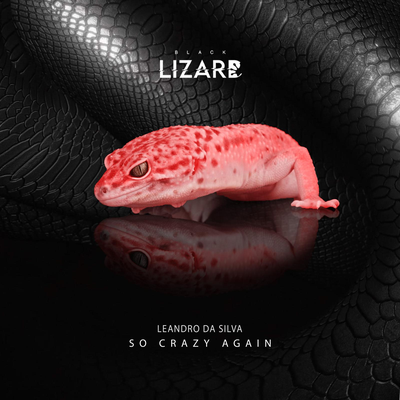 So Crazy Again By Leandro Da Silva's cover