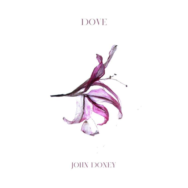 John Doney's avatar image