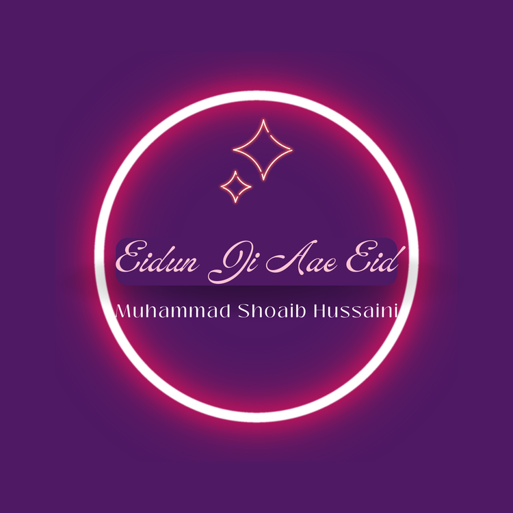 Muhammad Shoaib Hussaini's avatar image