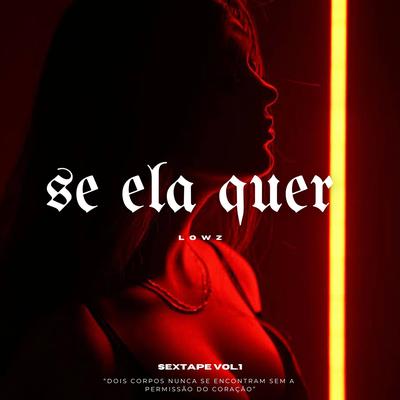 Se Ela Quer By lowz's cover