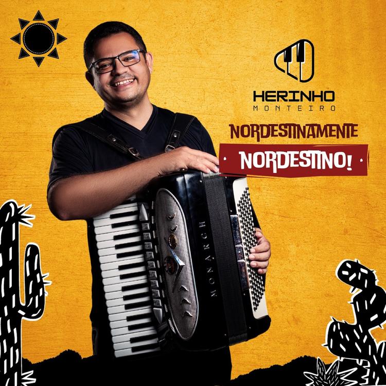 Herinho Monteiro's avatar image