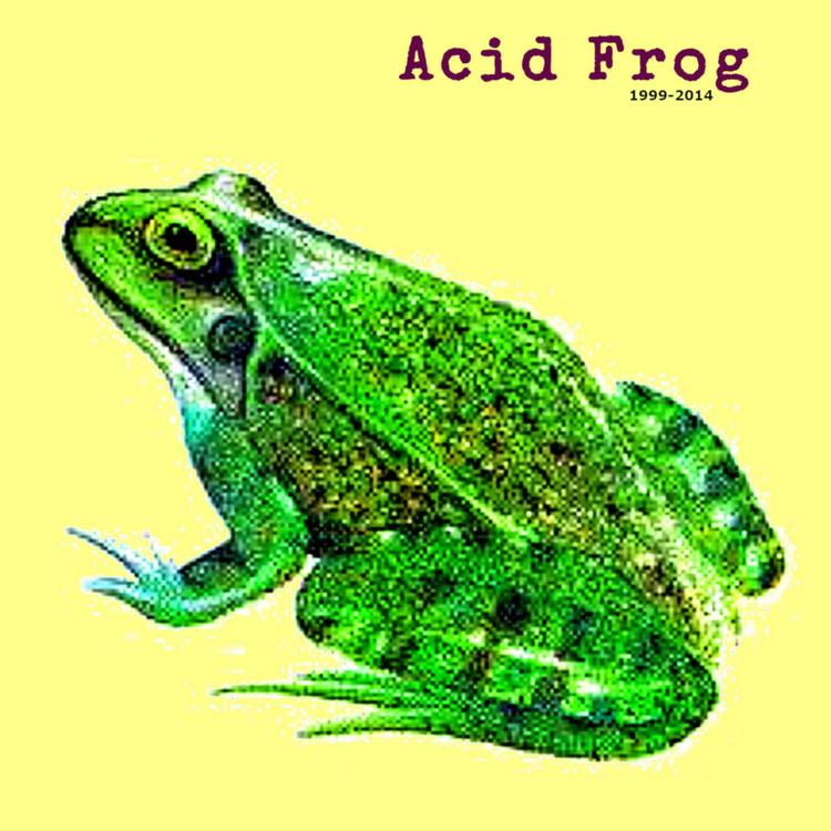 Acid Frog's avatar image