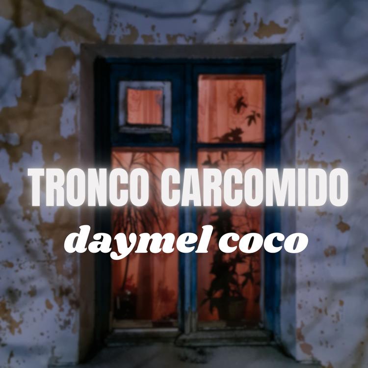 Daymel Coco's avatar image