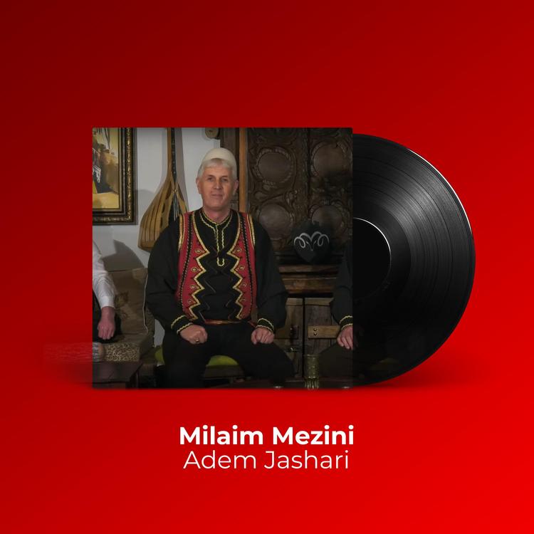 Milaim Mezini's avatar image