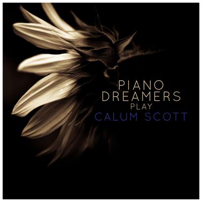 You Are the Reason (Instrumental) By Piano Dreamers's cover