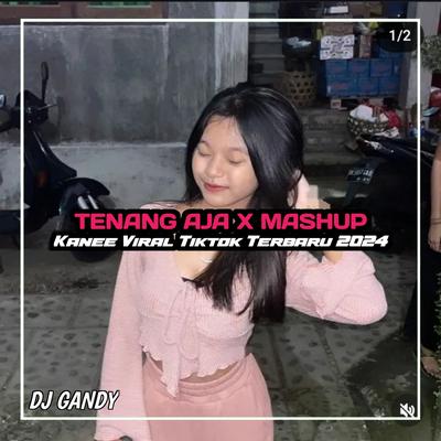 DJ Tenang Aja X Mashup's cover