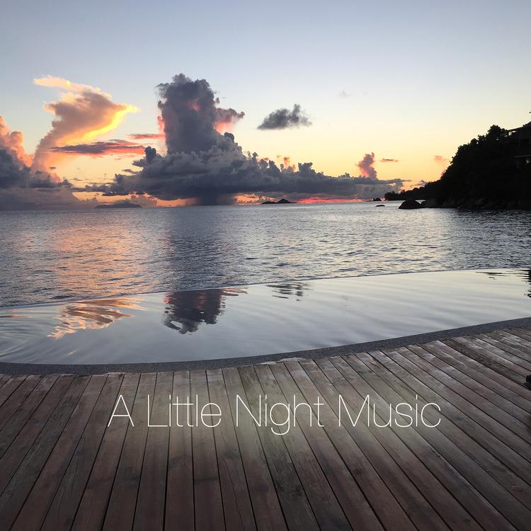 Little Night Music's avatar image