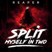 reaper's avatar cover