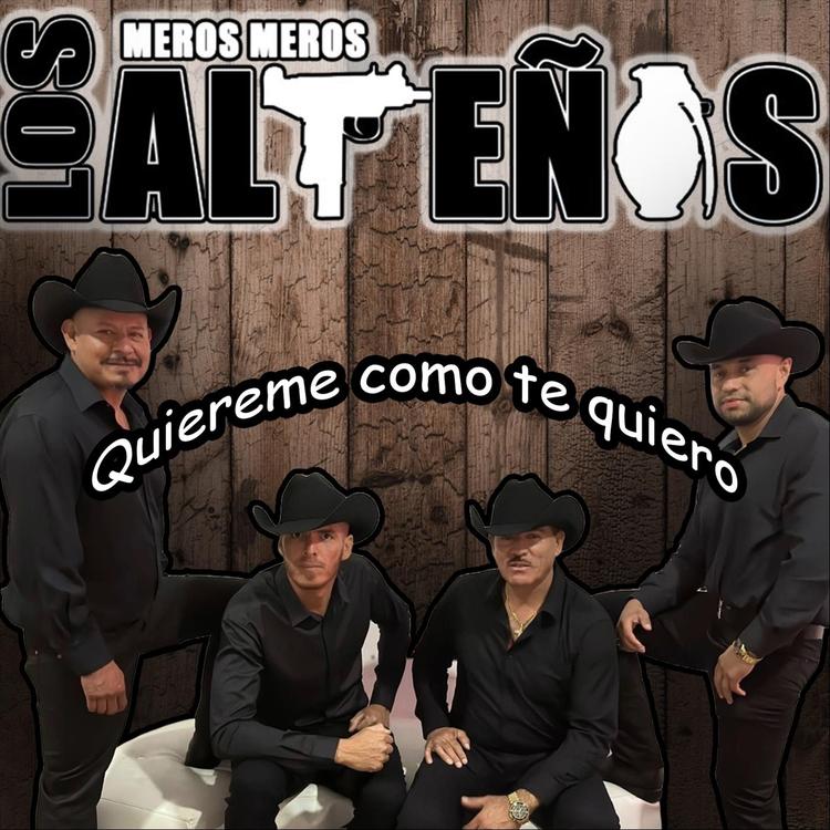 Los Meros Meros Altenos's avatar image